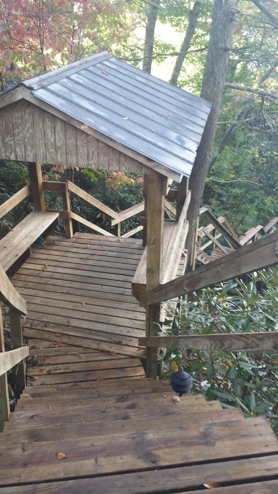 Metal roofed shelter over wooden steps on a wooded walkway — Skylight Repair & Installation work by our crew in Wabasso